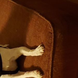 Meet your Posher, Angela